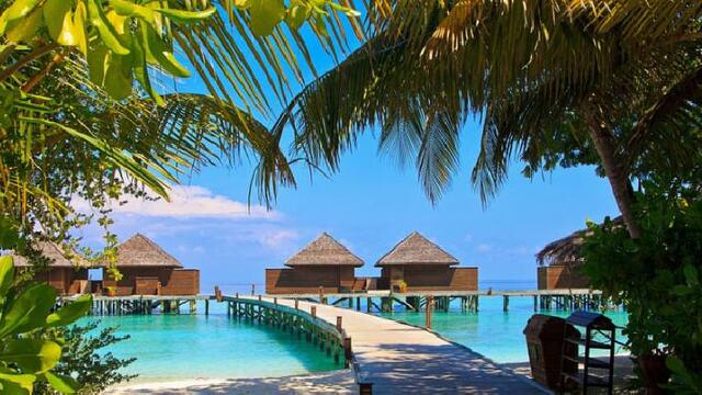 Destinasi Tropis Dunia